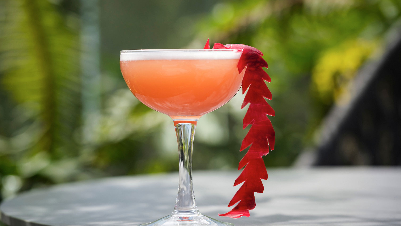 pepe mesa cocktail